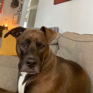 Meet your Posher, Kyle